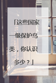 这些国家一级保护鸟类，你认识多少？