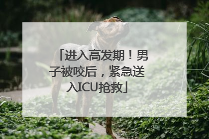 进入高发期！男子被咬后，紧急送入ICU抢救