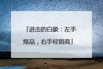 进击的白象：左手爆品，右手经销商