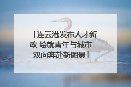 连云港发布人才新政 绘就青年与城市双向奔赴新图景