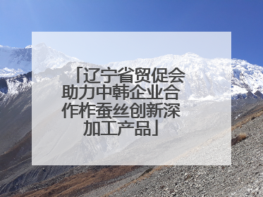 辽宁省贸促会助力中韩企业合作柞蚕丝创新深加工产品