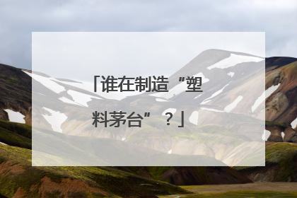 谁在制造“塑料茅台”？