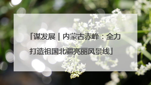 谋发展｜内蒙古赤峰：全力打造祖国北疆亮丽风景线