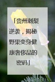 贵州刺梨逆袭，揭秘野果变身健康奢侈品的密码