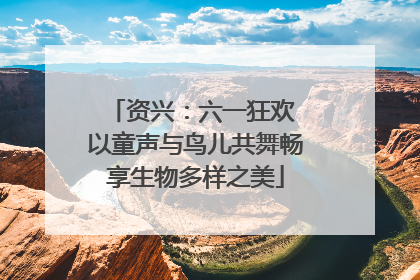 资兴：六一狂欢 以童声与鸟儿共舞畅享生物多样之美