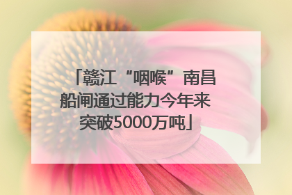 赣江“咽喉”南昌船闸通过能力今年来突破5000万吨