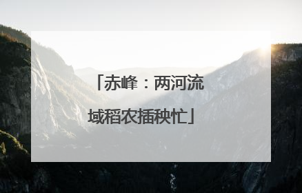 赤峰：两河流域稻农插秧忙