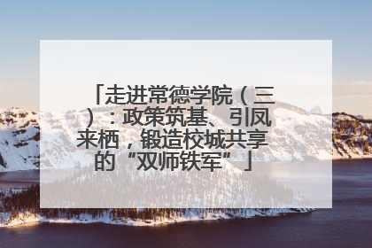 走进常德学院（三）：政策筑基、引凤来栖，锻造校城共享的“双师铁军”