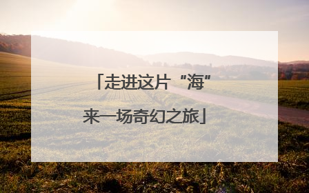 走进这片“海”来一场奇幻之旅