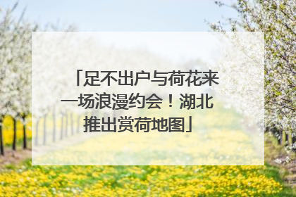 足不出户与荷花来一场浪漫约会！湖北推出赏荷地图