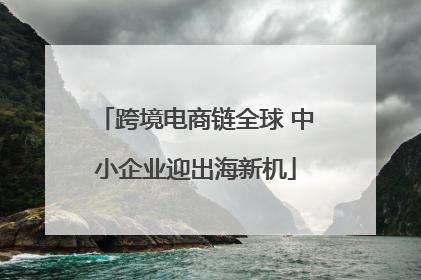 跨境电商链全球 中小企业迎出海新机