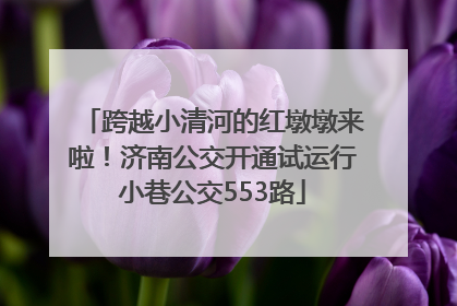 跨越小清河的红墩墩来啦！济南公交开通试运行小巷公交553路