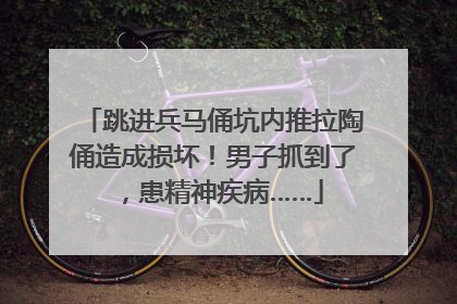 跳进兵马俑坑内推拉陶俑造成损坏！男子抓到了，患精神疾病……