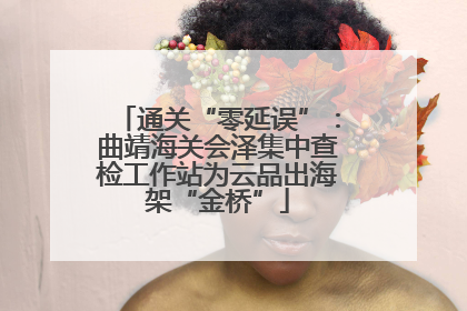 通关“零延误”：曲靖海关会泽集中查检工作站为云品出海架“金桥”