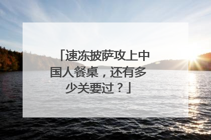 速冻披萨攻上中国人餐桌，还有多少关要过？