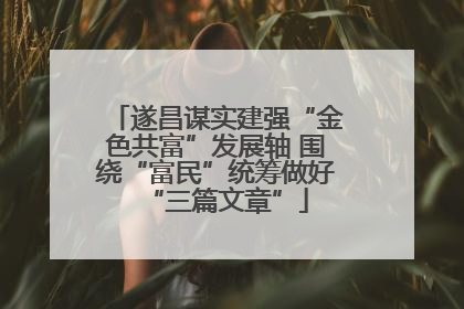 遂昌谋实建强“金色共富”发展轴 围绕“富民”统筹做好“三篇文章”