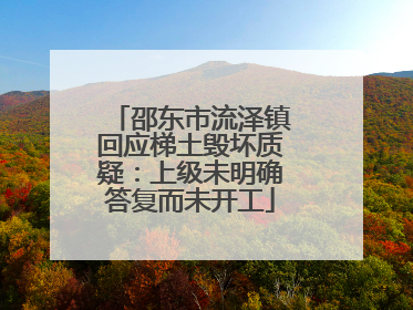 邵东市流泽镇回应梯土毁坏质疑：上级未明确答复而未开工