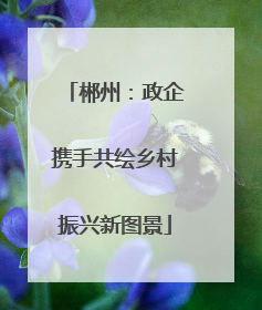 郴州：政企携手共绘乡村振兴新图景