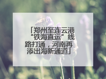 郑州至连云港“铁海直运”线路打通，河南再添出海新通道