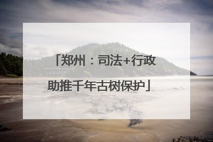 郑州：司法+行政助推千年古树保护