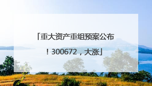 重大资产重组预案公布！300672，大涨