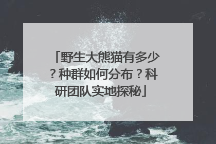 野生大熊猫有多少？种群如何分布？科研团队实地探秘