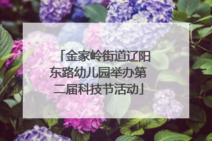 金家岭街道辽阳东路幼儿园举办第二届科技节活动