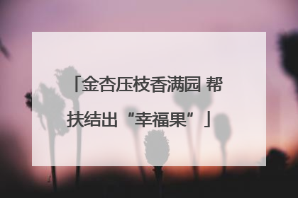 金杏压枝香满园 帮扶结出“幸福果”