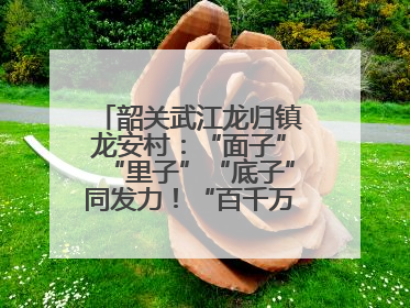 韶关武江龙归镇龙安村：“面子”“里子”“底子”同发力！“百千万工程”激活乡村新动能