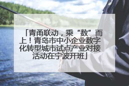 青甬联动，乘“数”而上！青岛市中小企业数字化转型城市试点产业对接活动在宁波开班