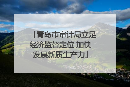 青岛市审计局立足经济监督定位 加快发展新质生产力