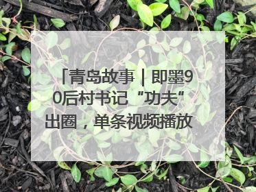 青岛故事｜即墨90后村书记“功夫”出圈，单条视频播放量过600万