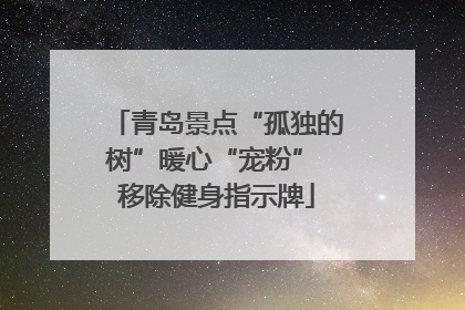 青岛景点“孤独的树”暖心“宠粉” 移除健身指示牌