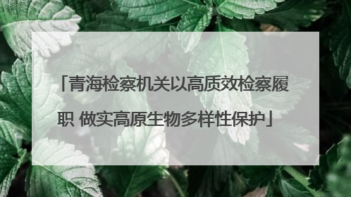 青海检察机关以高质效检察履职 做实高原生物多样性保护