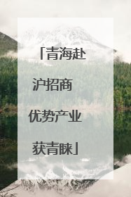 青海赴沪招商 优势产业获青睐