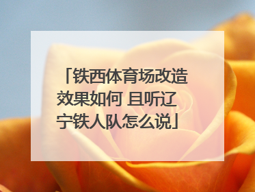 铁西体育场改造效果如何 且听辽宁铁人队怎么说