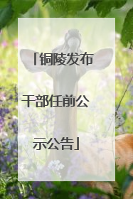 铜陵发布干部任前公示公告