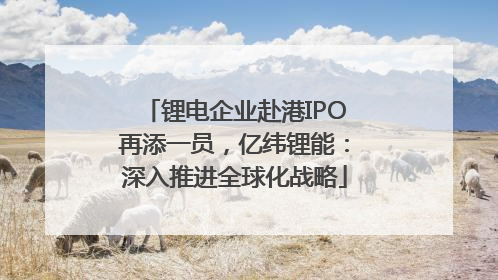 锂电企业赴港IPO再添一员，亿纬锂能：深入推进全球化战略