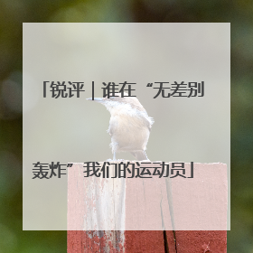 锐评｜谁在“无差别轰炸”我们的运动员