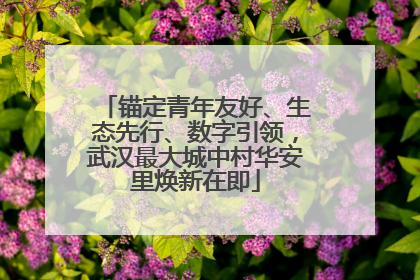 锚定青年友好、生态先行、数字引领，武汉最大城中村华安里焕新在即