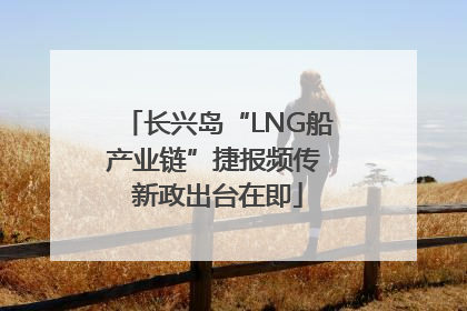 长兴岛“LNG船产业链”捷报频传 新政出台在即