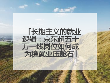 长期主义的就业逻辑：京东超五十万一线岗位如何成为稳就业压舱石