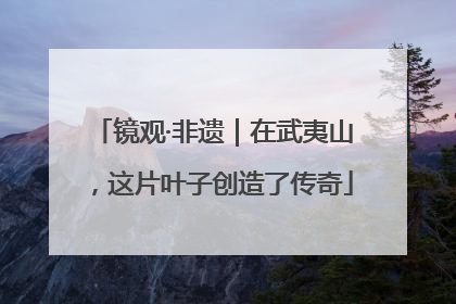 镜观·非遗｜在武夷山，这片叶子创造了传奇