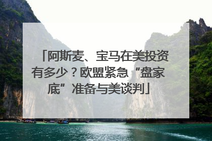 阿斯麦、宝马在美投资有多少？欧盟紧急“盘家底”准备与美谈判