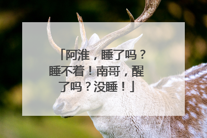 阿淮，睡了吗？睡不着！南哥，醒了吗？没睡！