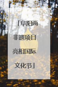 阜阳两非遗项目亮相国际文化节