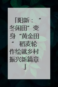 阳新：“冬闲田”变身“黄金田” 稻麦轮作绘就乡村振兴新篇章