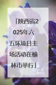 陕西省2025年六五环境日主场活动在榆林市举行