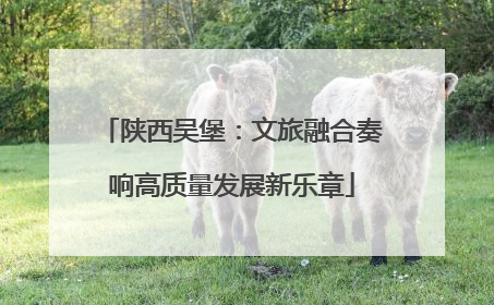 陕西吴堡：文旅融合奏响高质量发展新乐章