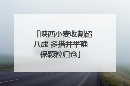陕西小麦收割超八成 多措并举确保颗粒归仓